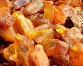 Amber Mysteries Revealed