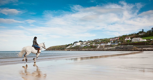 Cliff House Hotel Waterford