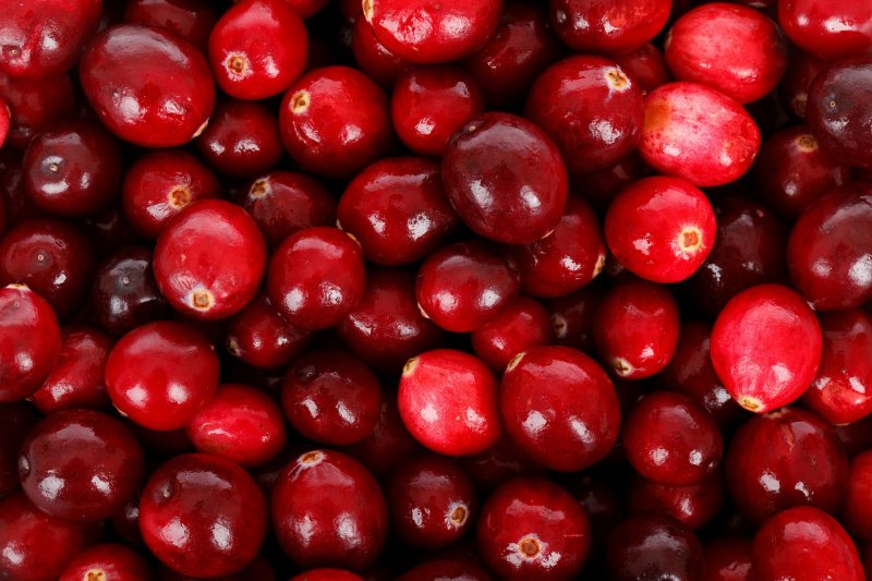 Cranberries Spas.ie